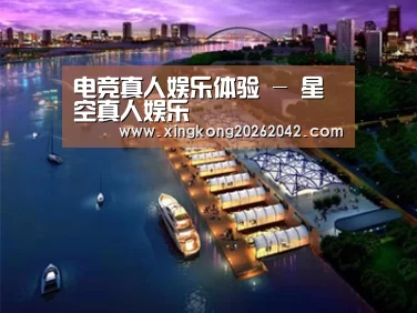 案例展示八
