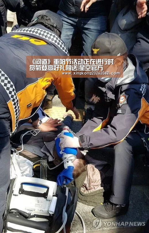 《问道》重阳节活动正在进行时 赏菊登高好礼相送|星空官方(图2) 星空赛事